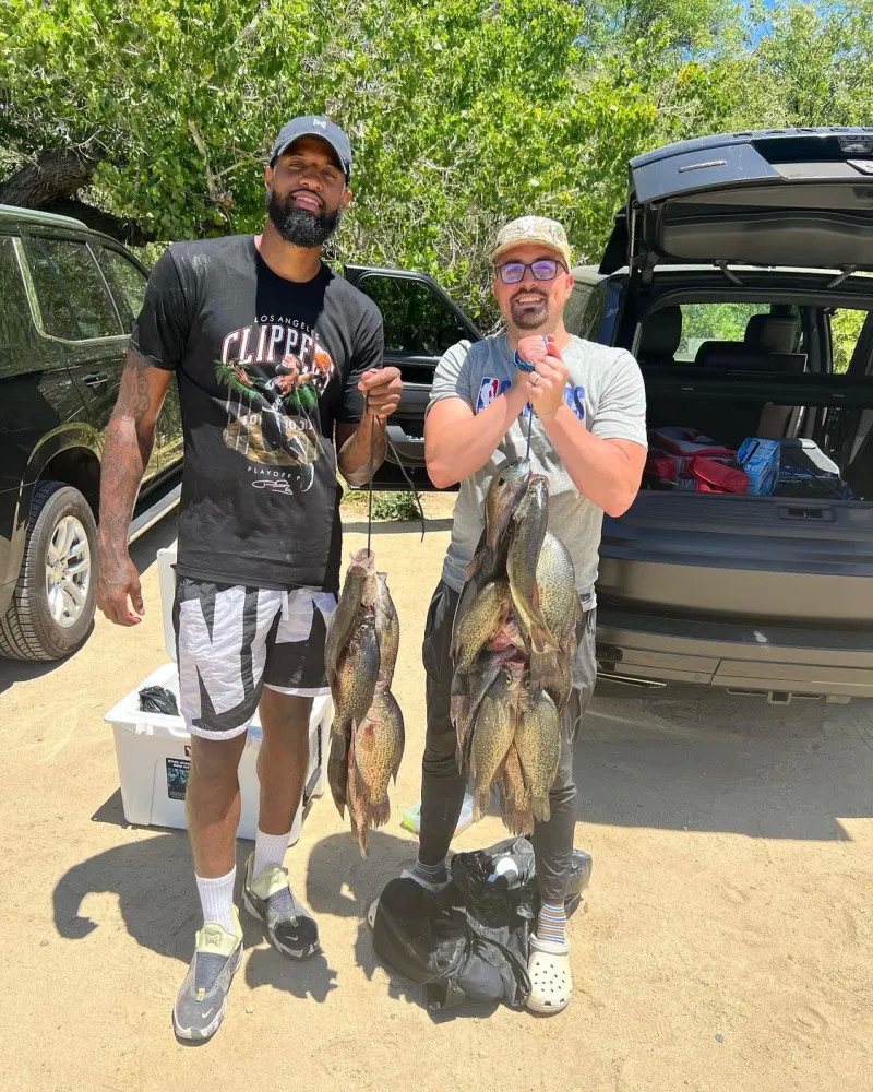 更是对他实 更是对他实