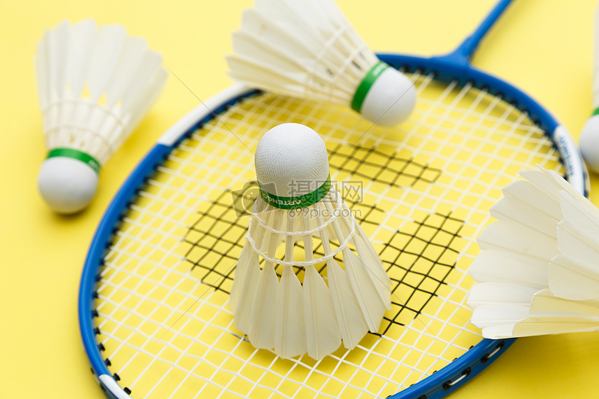 们在体系中 们在体系中